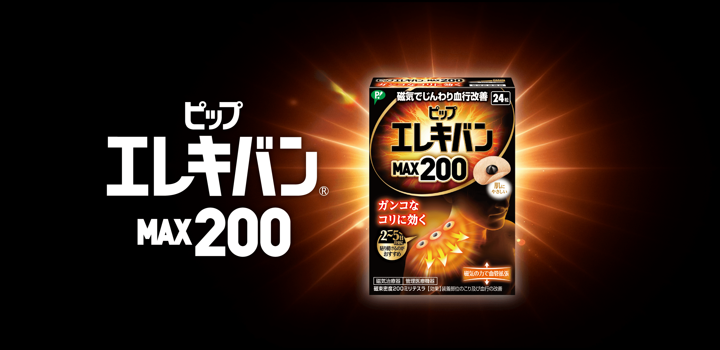 ピップエレキバンMAX200